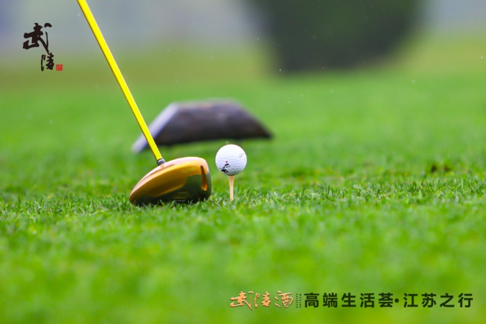 武陵酒#高端生活荟·江苏之行#